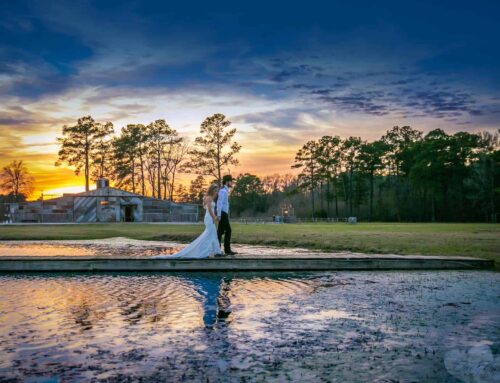 5 Showstopping Venues for Wedding Receptions Near Me in Texas