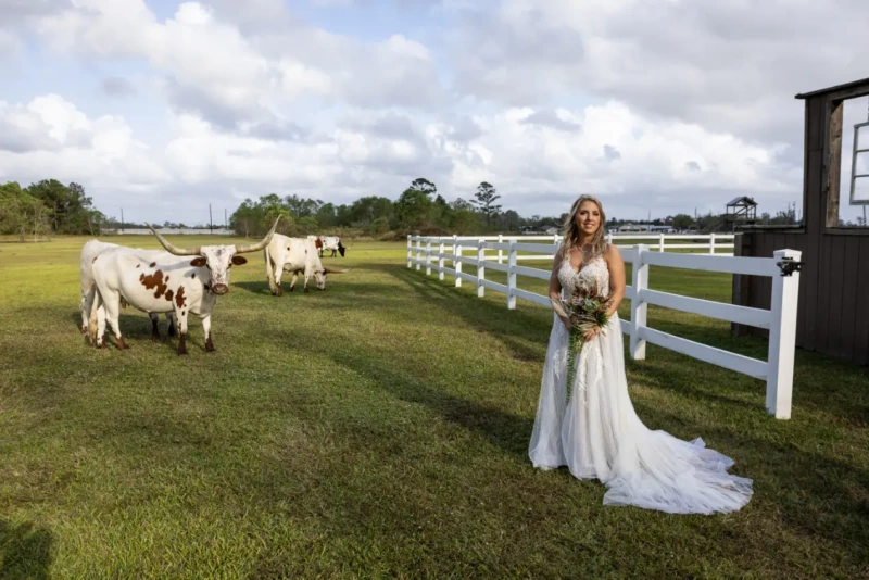 Kyanna Longhorns v